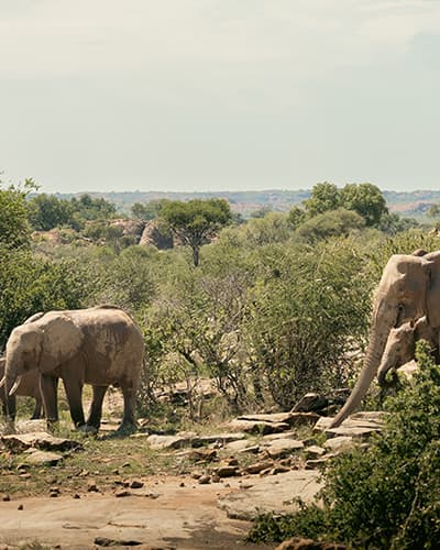 Botswana & Zimbabwe