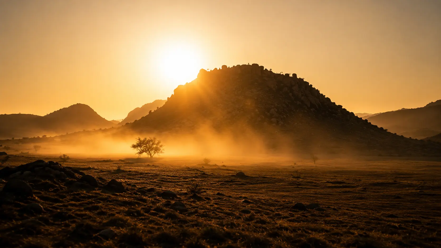 Safari Day Rates